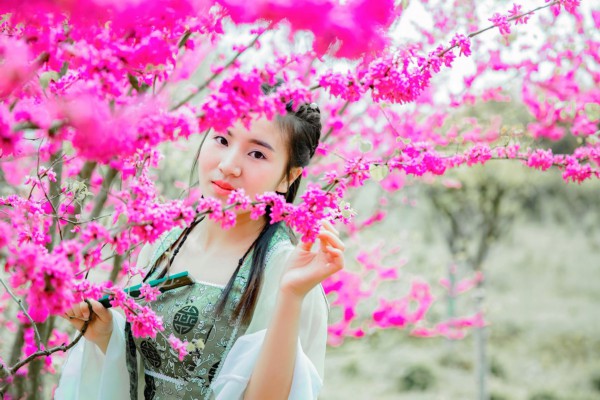 西栅夜生活，品味养生茶香时光